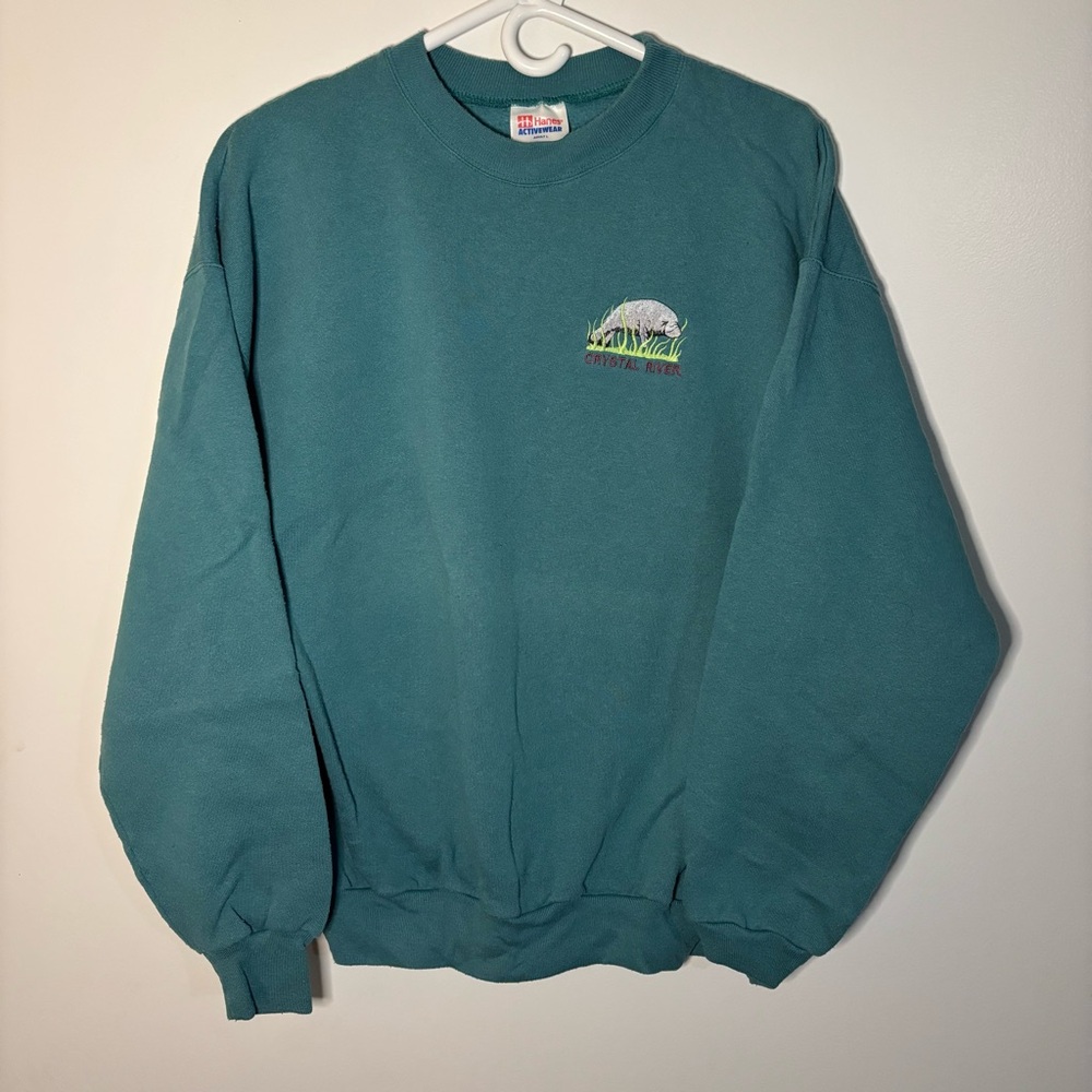 Hanes Green Crewneck Sweater with Ribbed Neckline